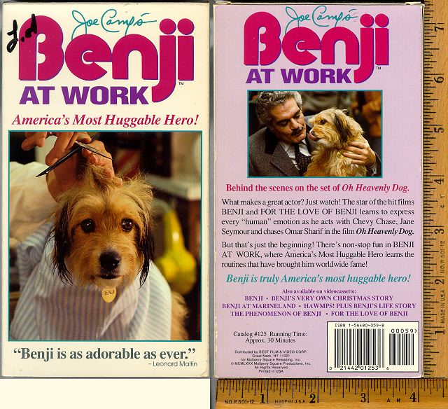 Benji at Work